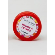 DERMA-SKIN BAUME A LEVRES HYDRATANT 10GR