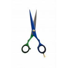 Ciseau Manche Inox Bleu/Vert